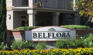 Belflora